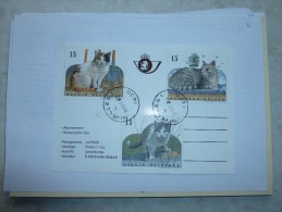 Carte Souvenir Chat Cachet Nivelles Peu Courant (dernier Timbre De La Serie Au Dos Avec Gravure Du Chat) - Cartas Commemorativas - Emisiones Comunes [HK]