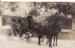 Carte Photo Militaire Allemand BUCAREST-BUKARESTI (Roumanie) Attelage Chevaux-Charrette-Garçon Cocher-Guerre 14/18 - Roemenië