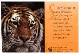 (999) WWF Siberian Tiger - Tigres