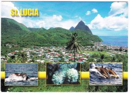 St. Lucia - WHALE, DOLPHINS, CORAL - ( 95c  'French Tricolour 1792, French 38 Gun Frigate STAMP/TIMBRE - 1996 - Santa Lucía