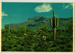 Superstition Mountain - Phoenix - Phönix