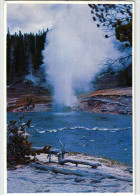 Yellowstone National Park - Riverside Geyser - Yellowstone