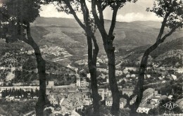 LANGUEDOC ROUSSILLON - 66 - PYRENEES ORIENTALES - AMELIE LES BAINS - PALALDA - CPSM PF NB -  Vue Générale - Rivesaltes