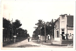 -85- LA TRANCHE LA GRIERE  Avenue En Bordure De La Forêt Timbrée 1950 TTB - La Tranche Sur Mer