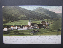 AK PUSTERWALD B. Judenburg 1905 /// D*19110 - Judenburg