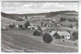 Allemagne - HERRISCHWAND Kr. Säckingen 900-1000 M ü M. - Vue Du Village Et De La Campagne Environnante - CPSM - Bad Saeckingen