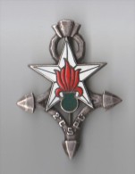 INSIGNE 2° CSPL COMPAGNIE SAHARIENNE PORTEE LEGION Croix Du Sud Agadès - DRAGO PARIS - Army