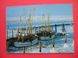 Winter Im Tumlauer Hafen,Halbinsel Eiderstedt - Nordfriesland