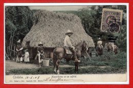 AMERIQUE --  MEXIQUE - CORDOBA --  Mayordomo En Un Cafetal - Mexique