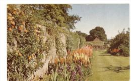 The Garden The Palace Of Falkland - Fife