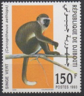 Djibouti Dschibuti 1993 Mi. 582 ** Neuf MNH Singe Vert Monkey Affe Faune Fauna RARE ! - Scimmie