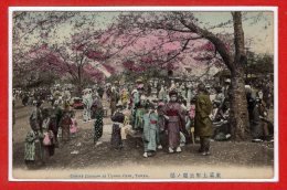 ASIE - JAPON --  Tokio  - Cherry Blossom At Uyeno Park - Tokio