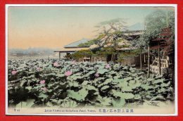 ASIE - JAPON --  Tokio -- Lotus Flower At Shinobazu Pond - Tokio