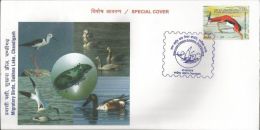 Special Cover,Blacked Winged Stilt, Bar Headed Geese, Pied Avocet, Northern Shoveler, Migratory Birds - Geese