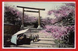 ASIE - JAPON --  YOKOHAMA -- Cherry Blosssom Of.... - Yokohama