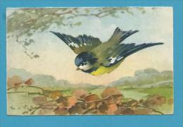 CPA 124 Fantaisie Oiseaux Mesange Illustrateur Catharina KLEIN - Klein, Catharina