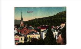 BADENWEILER ,VUE PARTIELLE ,COULEUR  REF 45912 - Badenweiler