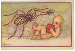 Busi Enfant Niu Pris Dans Une Toile Enorme Araignée Et Mouche Spider And Fly - Busi, Adolfo