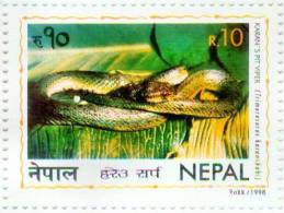 PIT VIPER SNAKE STAMP RUPEE 10 NEPAL 1998 MINT MNH - Snakes