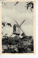 Gelrode - Oude Molen - Aarschot