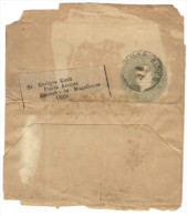 ARGENTINA - Wrapper - 4 Centavos - Intero Postale - Entier Postal - Postal Stationery - Viaggiata Da Buenos Aires Per... - Ganzsachen
