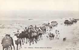 Biskra - Grand Désert Du Sahara - Caravane - Edition Maure - Carte Non Circulée - Szenen