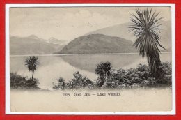 OCEANIE - NOUVELLE ZELANDE -- Glen Dhu - Lake Wanaka - Nouvelle-Zélande