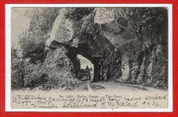 OCEANIE - NOUVELLE ZELANDE -- Buller Gorge - The Cave - Nouvelle-Zélande