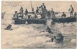 ILE TUDY ? - L'Abri Du Marin, Course De Nageurs Vétus De Leur équipement De Mer - Ile Tudy