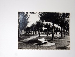 Carte Postale Ancienne : JURANCON : La Place, En 1967 - Jurancon