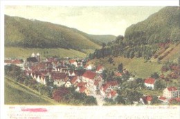 ▓▒░ Wiesensteig Kr Göppingen (Württ) Col Ak 1905  ░▒▓ - Göppingen