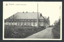 0. CPA - BRUGELETTE - L'Institut De L'Enfnat Jésus - Nels   // - Brugelette