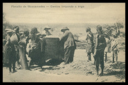 ANGOLA -MOÇAMEDES - COSTUMES -Gentias Limpando Trigo ( Ed. Julio Rogado Leitão Lda.) Carte Postale - Angola