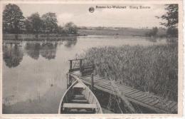 Boussu-lez-Walcourt  Etang Ernotte - Froidchapelle