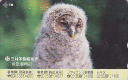 Télécarte Japon - Animal - Oiseau HIBOU BEBE CHOUETTE HULOTTE  - OWL Bird Japan Phonecard - EULE Telefonkarte - BE 4192 - Uilen