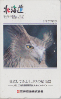 Rare Télécarte Japon - Animal - Oiseau HIBOU CHOUETTE  - OWL Bird Japan Phonecard - EULE Telefonkarte - 4194 - Búhos, Lechuza