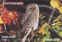 RARE Carte Orange Japon - Animal - Oiseau HIBOU CHOUETTE HULOTTE - OWL Bird Japan JR Prepaid Card - EULE - 4196 - Uilen