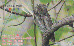 RARE Télécarte Japon - Oiseau HIBOU CHOUETTE - PETIT DUC - OWL Bird Japan Phonecard - EULE Vogel Telefonkarte - 4197 - Owls