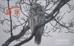 Télécarte Japon - Oiseau HIBOU CHOUETTE DE L´OURAL - OWL Bird Japan Phonecard - EULE Vogel Telefonkarte - 4198 - Uilen