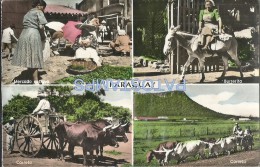 29815 PARAGUAY COSTUMES OLD MARKET CART A COW MULTI VIEW POSTAL POSTCARD - Paraguay