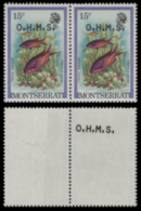 MONTSERRAT 1981 Hogfish Fish 15c PAIR OVPT:OHMS ERROR:OVPT.rev.1 Stamp - Montserrat