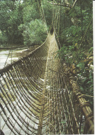 Gabon,  Pont De Lianes De Poubara,   2 Scans - Gabon