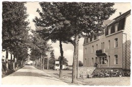 HAUT - FAYS   ----  " Hôtel Des Ardennes " ( Route  Wellin Gedinne ) - Daverdisse