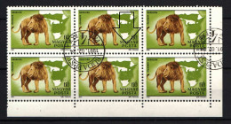 Hungary 1981. ERROR Animals Of Africa Stamp POSTA - PCSTA !!! Used, 6 Stamps Block !!! - Varietà & Curiosità