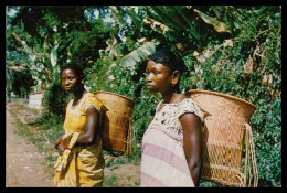 ANGOLA - COSTUMES - Mulheres De Maquela Do Zombo ( Ed. CITA)  Carte Postale - Angola