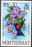 HUMMINGBIRDS-SPECIMEN-PURPLE THROATED CARIB-MONTSERRAT-1983-MNH-B3-929 - Colibrì