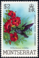 HUMMINGBIRDS-SPECIMEN-ANTILLEAN CRESTED HUMMINGBIRD-MONTSERRAT-1983-MNH-B3-929 - Kolibries