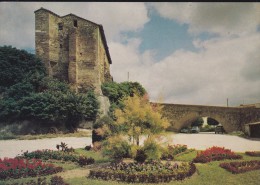 81---PUYLAURENS---vieux Château---voir 2 Scans - Puylaurens