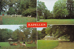 Grote Kaart Kapellen Park - Kapellen