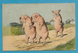 CPA Fantaisie Cochons Pig Prisonniers Position Humaine Humanisé - Schweine